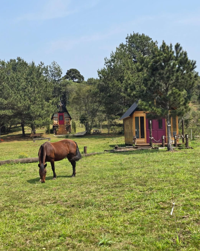Cavalo e chalés de madeira no campo