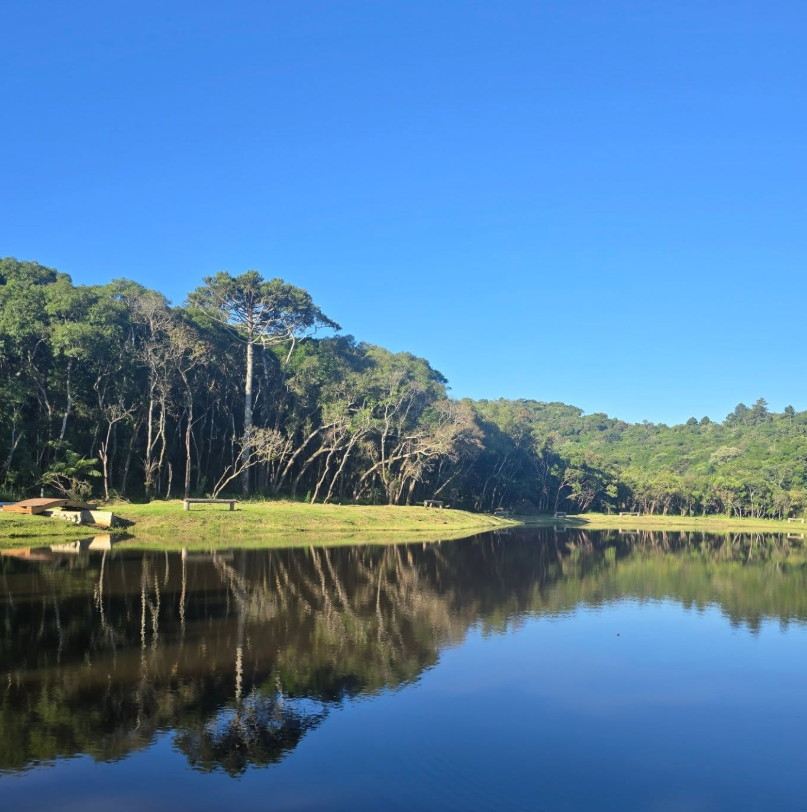 Lago cercado pela mata na Estância Casa de Madeira